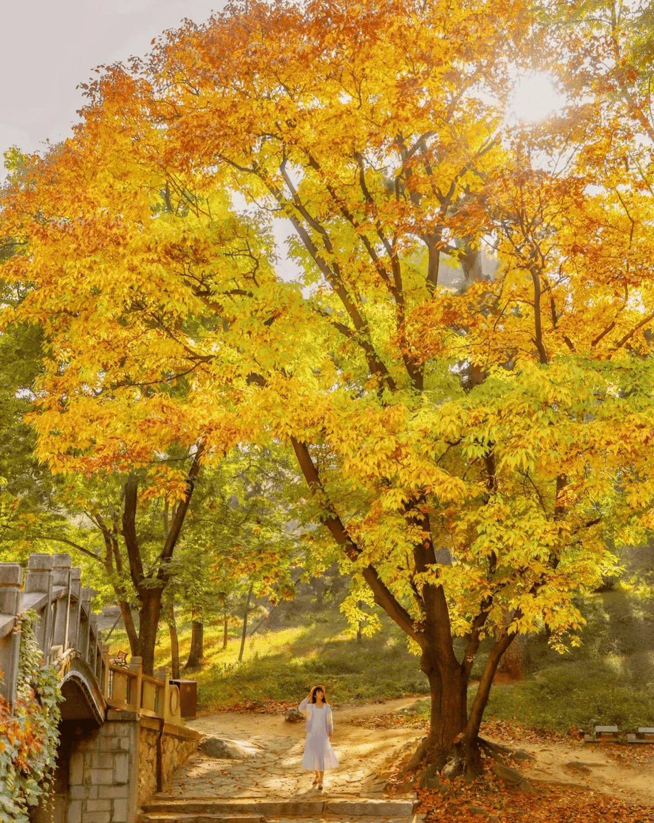 Дмитрий tweet media