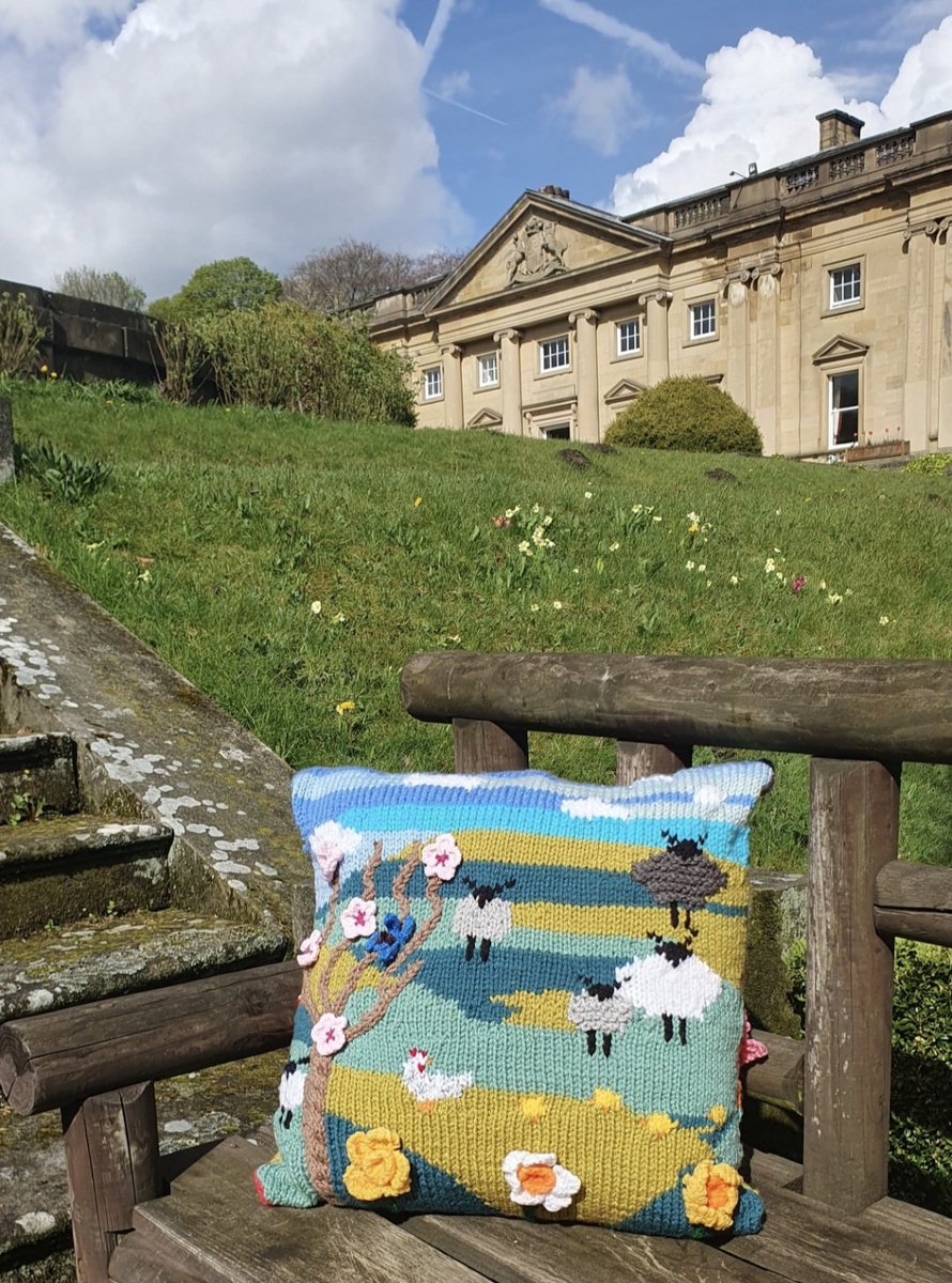 The Yorkshire Grey Sheep tweet media