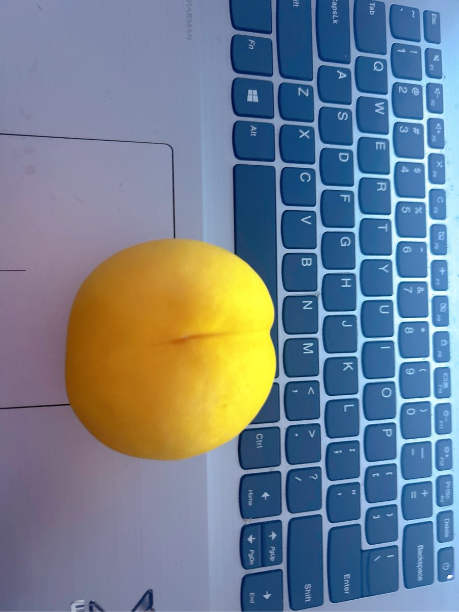 Александр Василенко tweet media