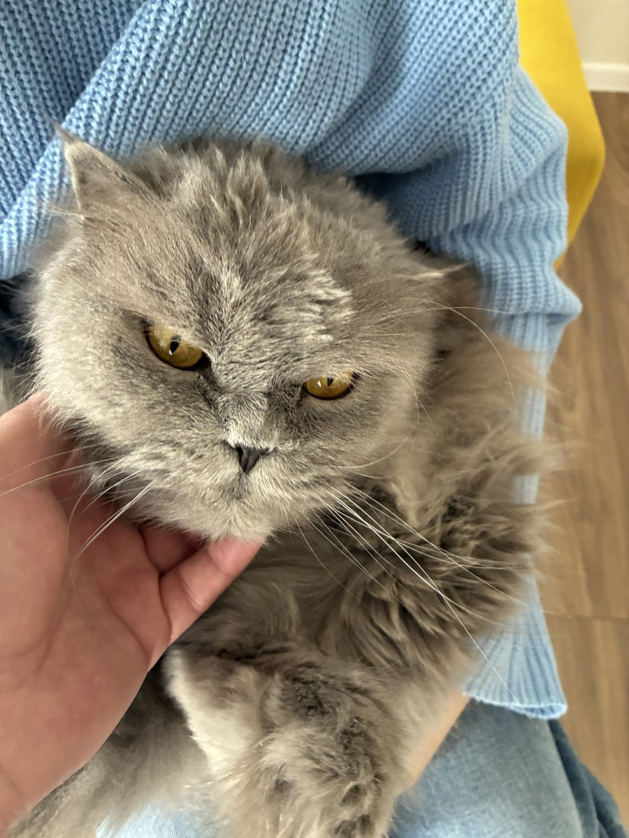 Сергей tweet media