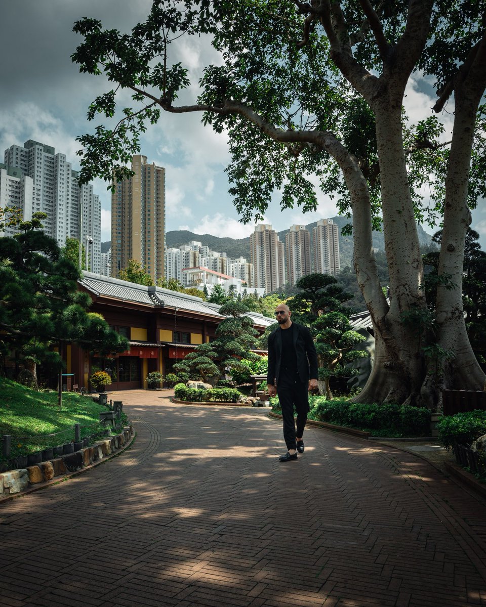 Prime Tate tweet media