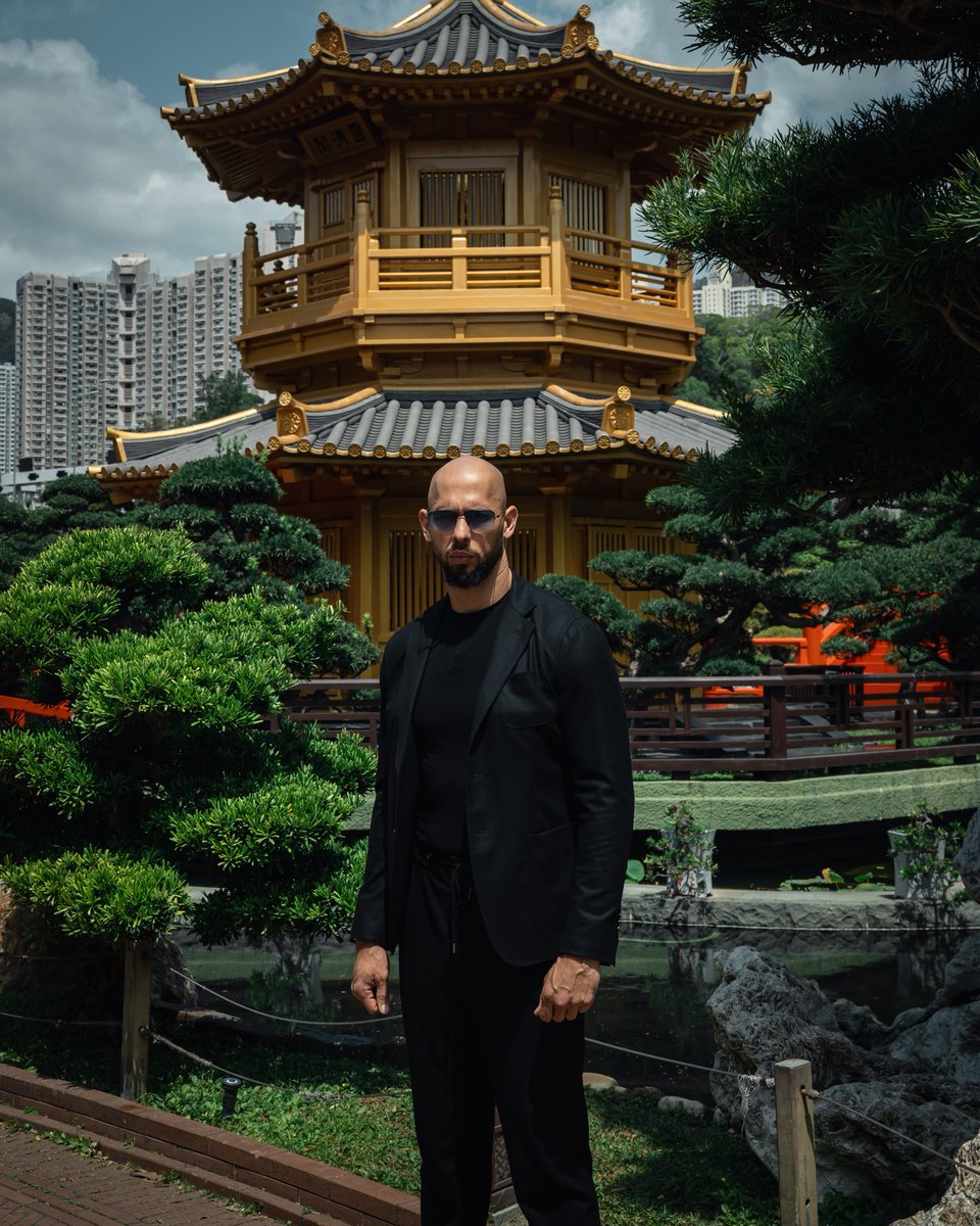 Prime Tate tweet media