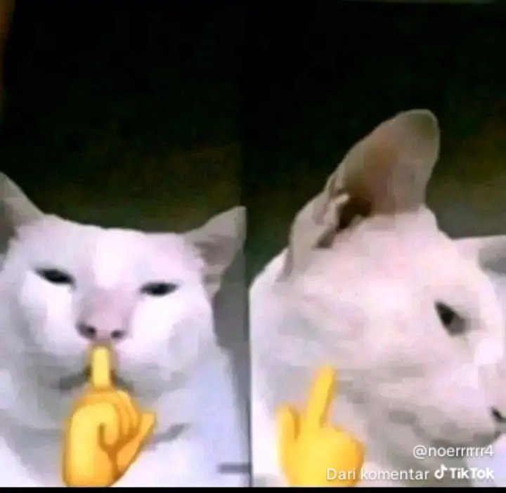 ⾕vos Mario Ardinata Maheswara dwn tweet media