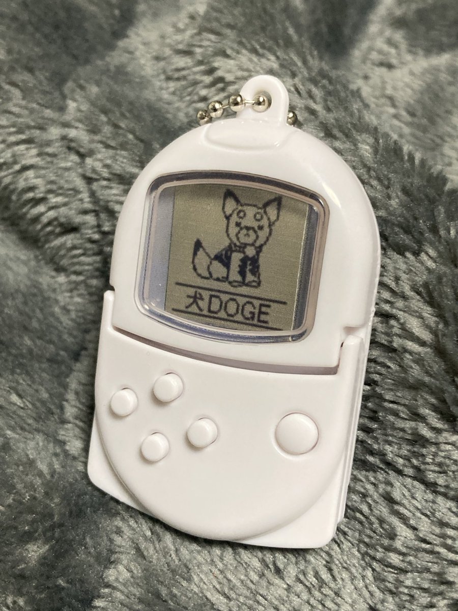 犬DOGE！作ったの！！ #三連休は超かぐや姫