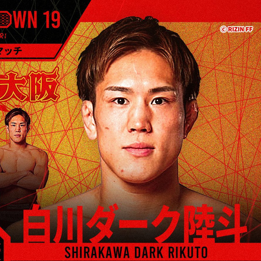 ファイトメモリー | Fight Memory tweet media