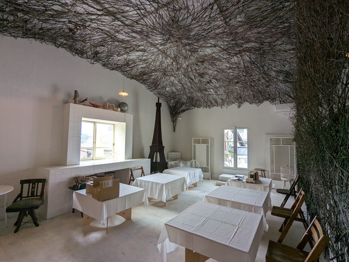 ウイレコ tweet media