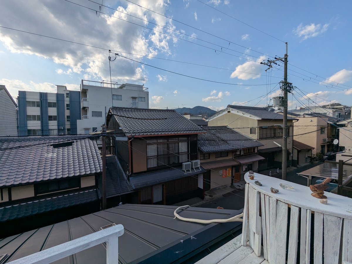 ウイレコ tweet media