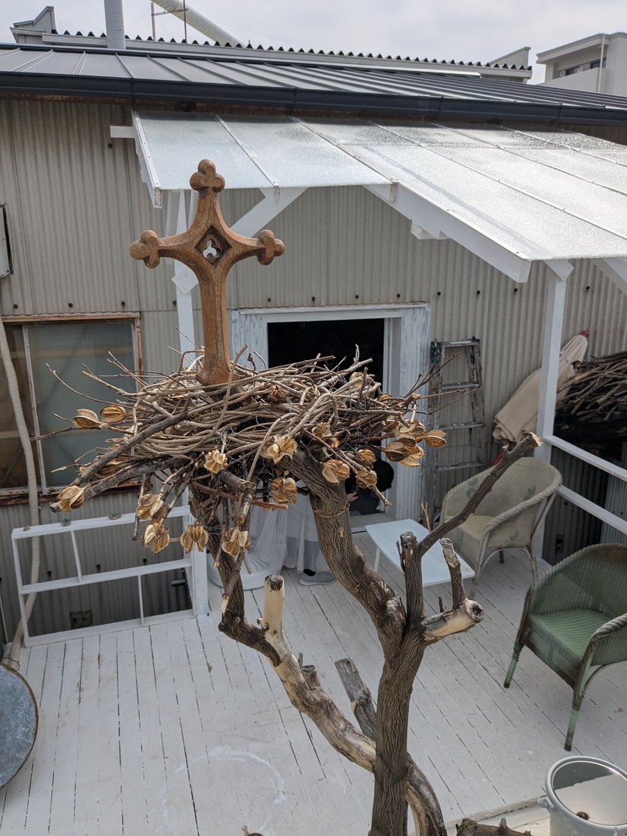 ウイレコ tweet media