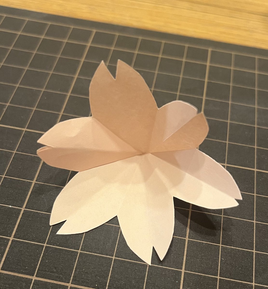 fortunericecake's tweet photo. 卒業記念カードの装飾作ってたら

ママ、桜は離弁花だし、花弁は5枚だよ

って娘にダメ出しされた笑

しっかり知識が身についててよろしい…😇

ただ、このあとの制作工程で、偶数枚の花弁が必須なのでちょっと目を瞑っていて欲しい… https://t.co/DcfbolyY8q