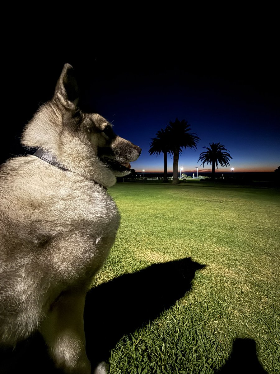 Ex Sergeant Matt B tweet media