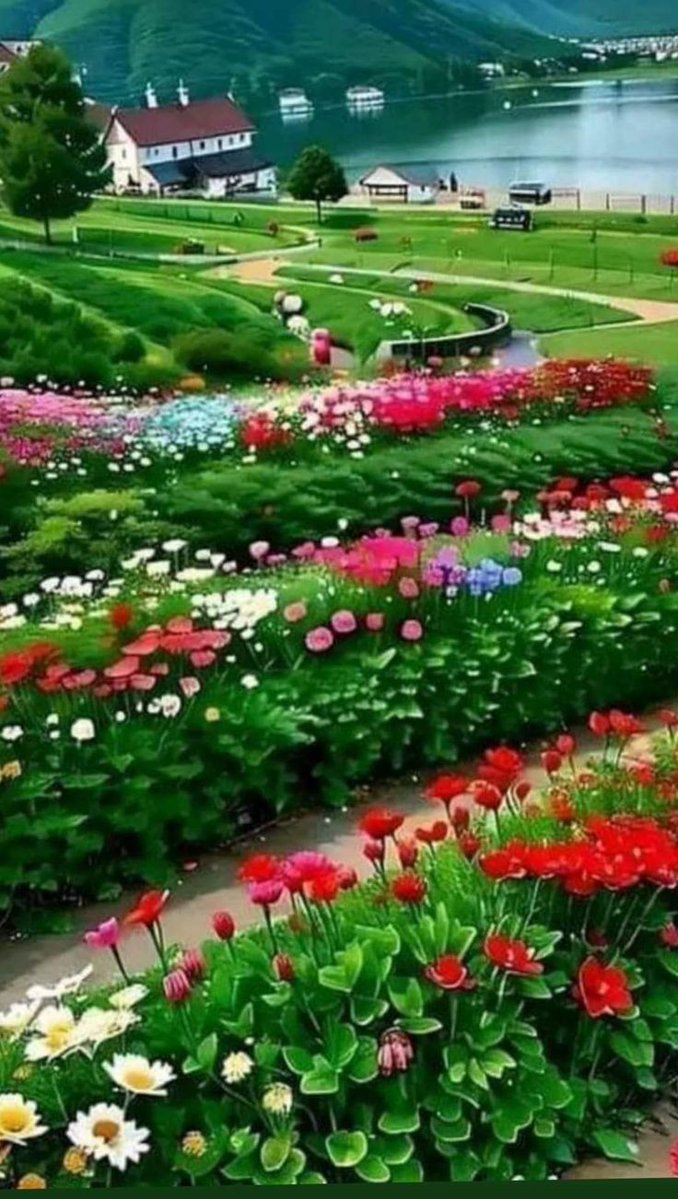 Sweet Nature (@sweet_nature1) on Twitter photo 