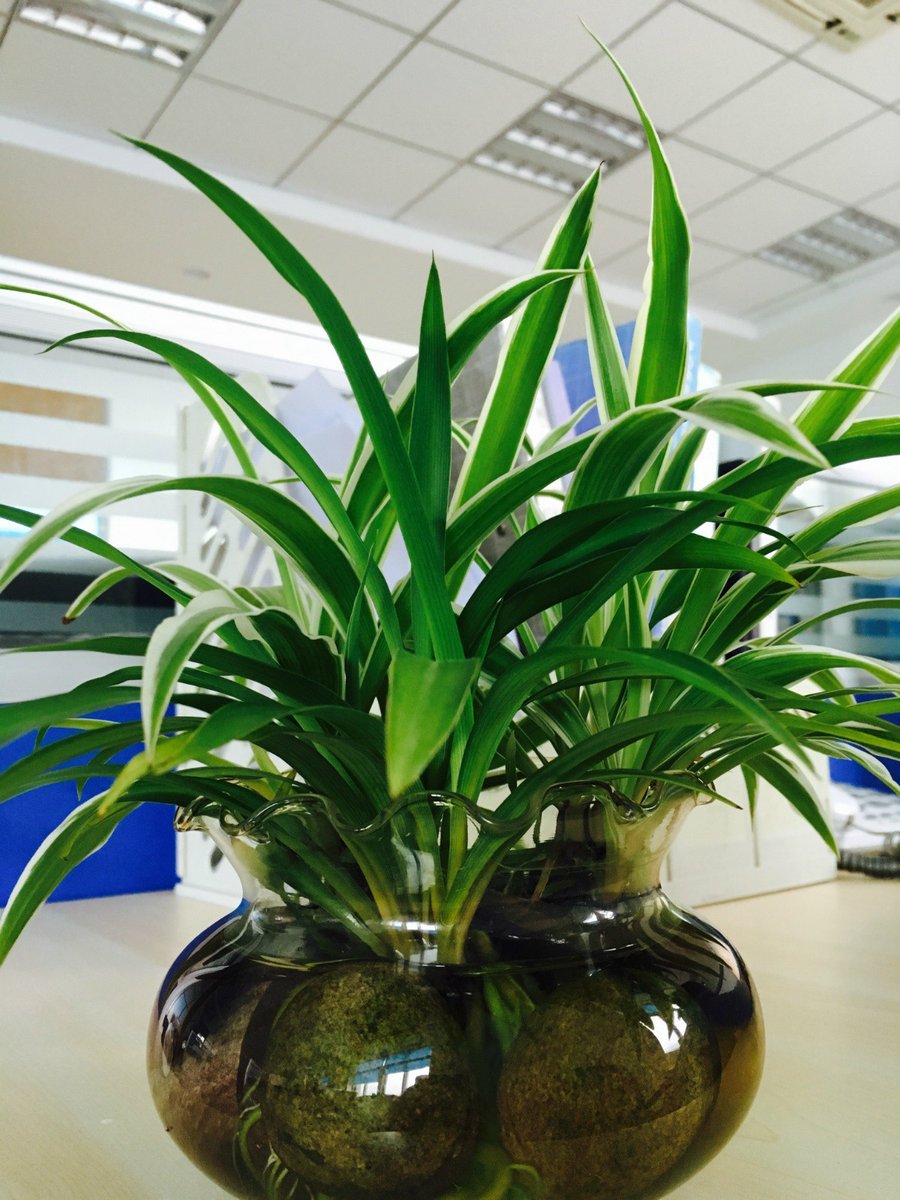 Andreas Saß tweet media