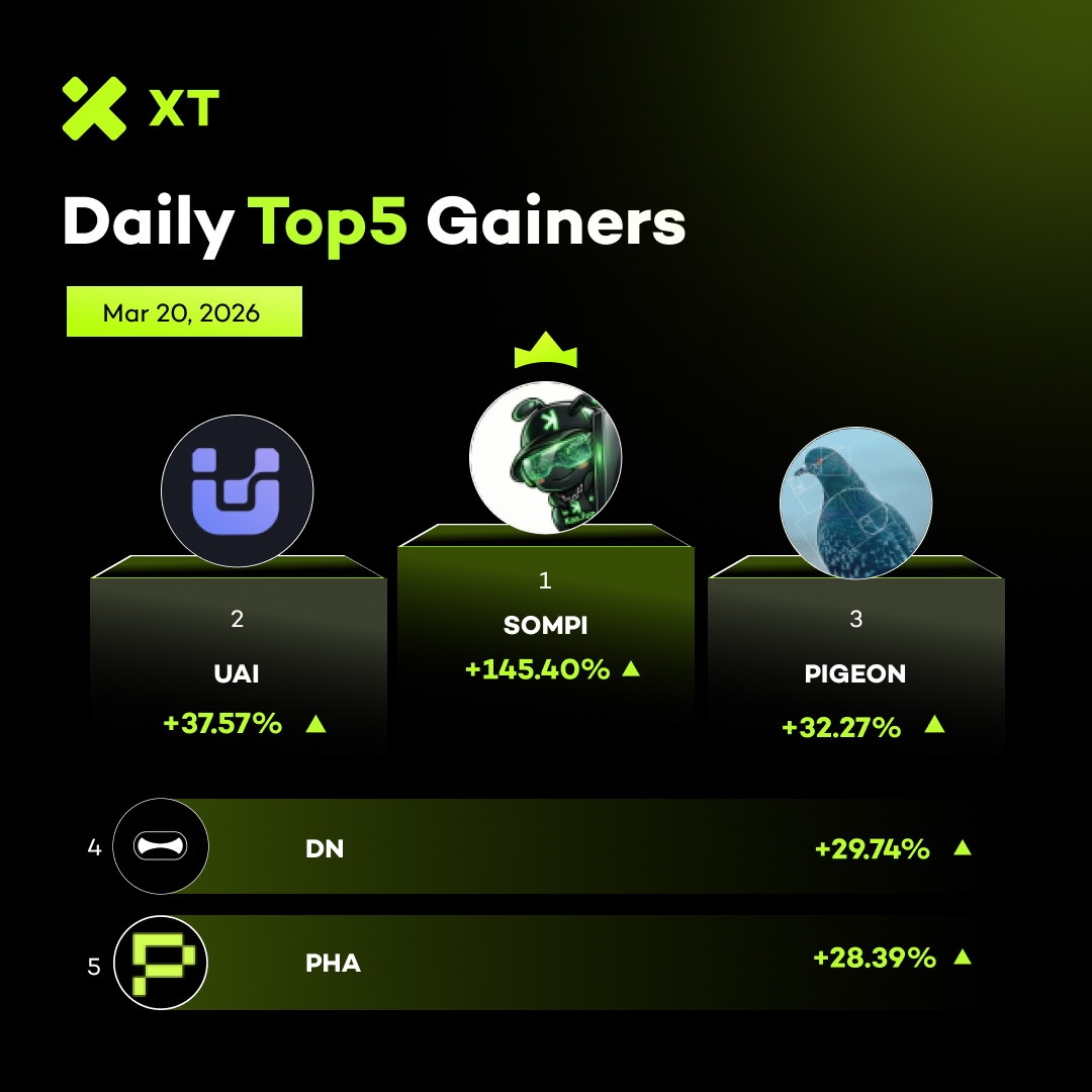 XT Updates tweet media