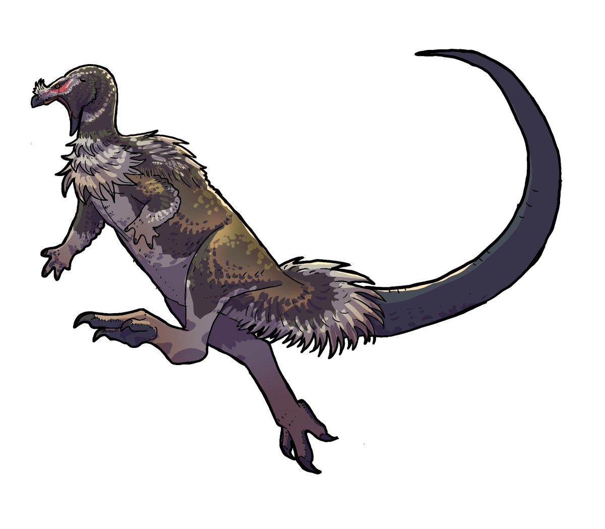 Howard roland tweet media