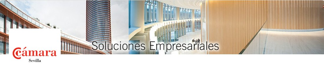 SAEmpleo Sevilla tweet media