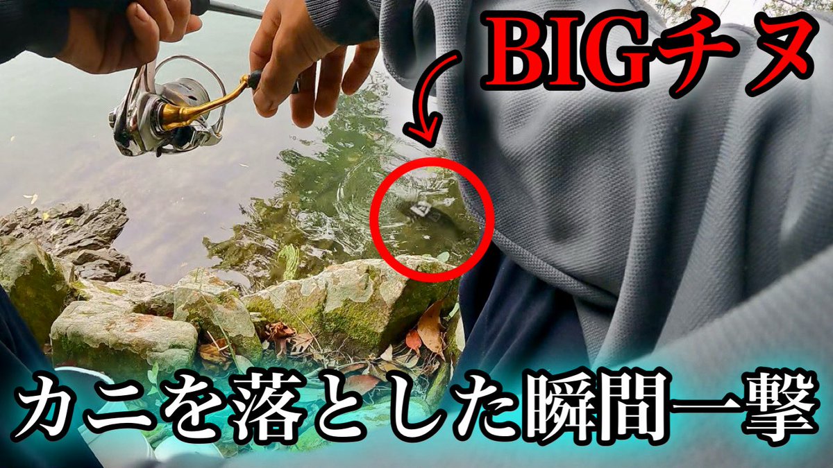 山奥の秘境にチヌの溜まり場を見つけた❗️ 

youtu.be/vS1NsHrlYNM?si… <a href="/YouTube/">YouTube</a>より