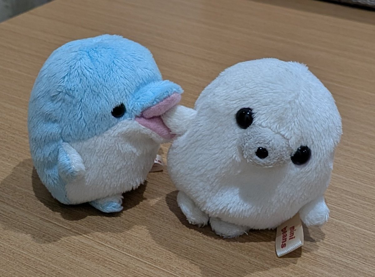 きゅう🐬しき🦭 tweet media