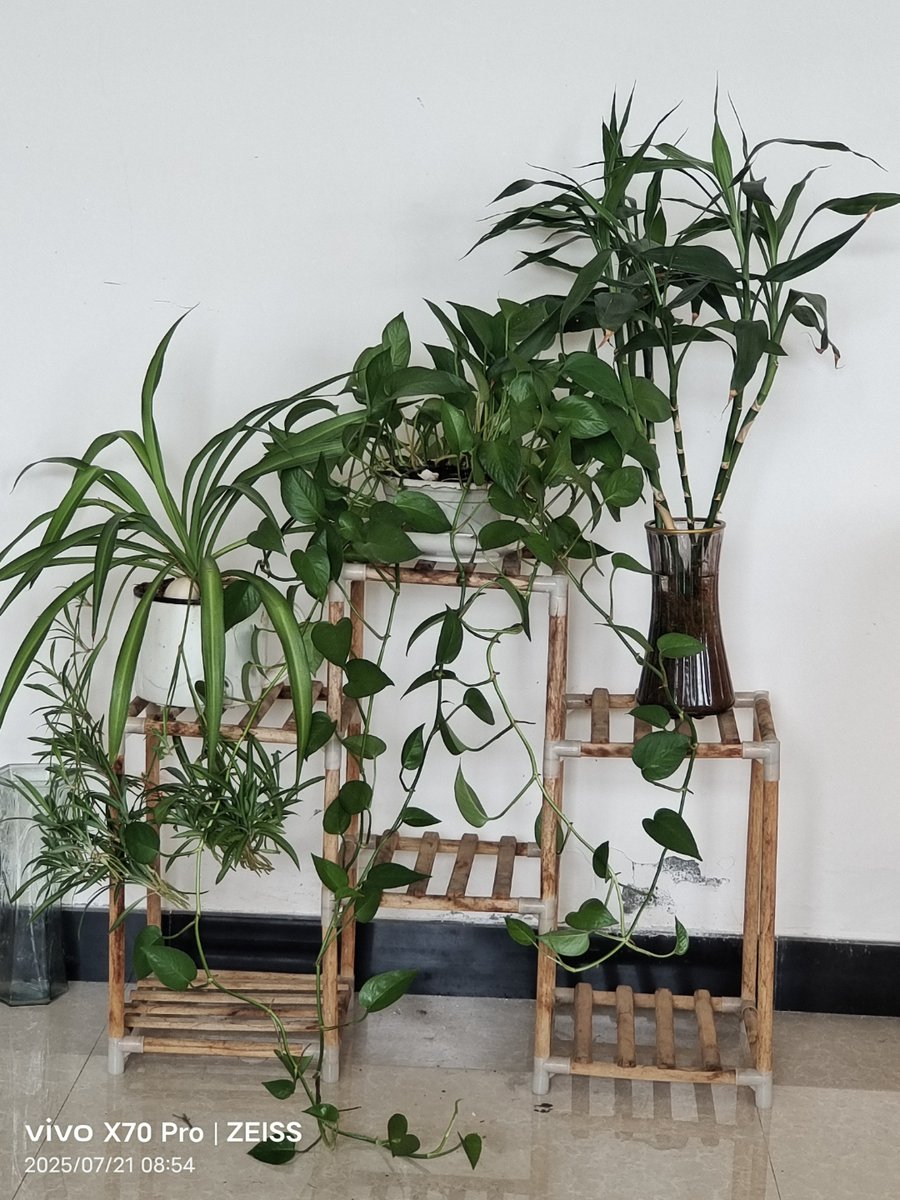 Ralph Person tweet media