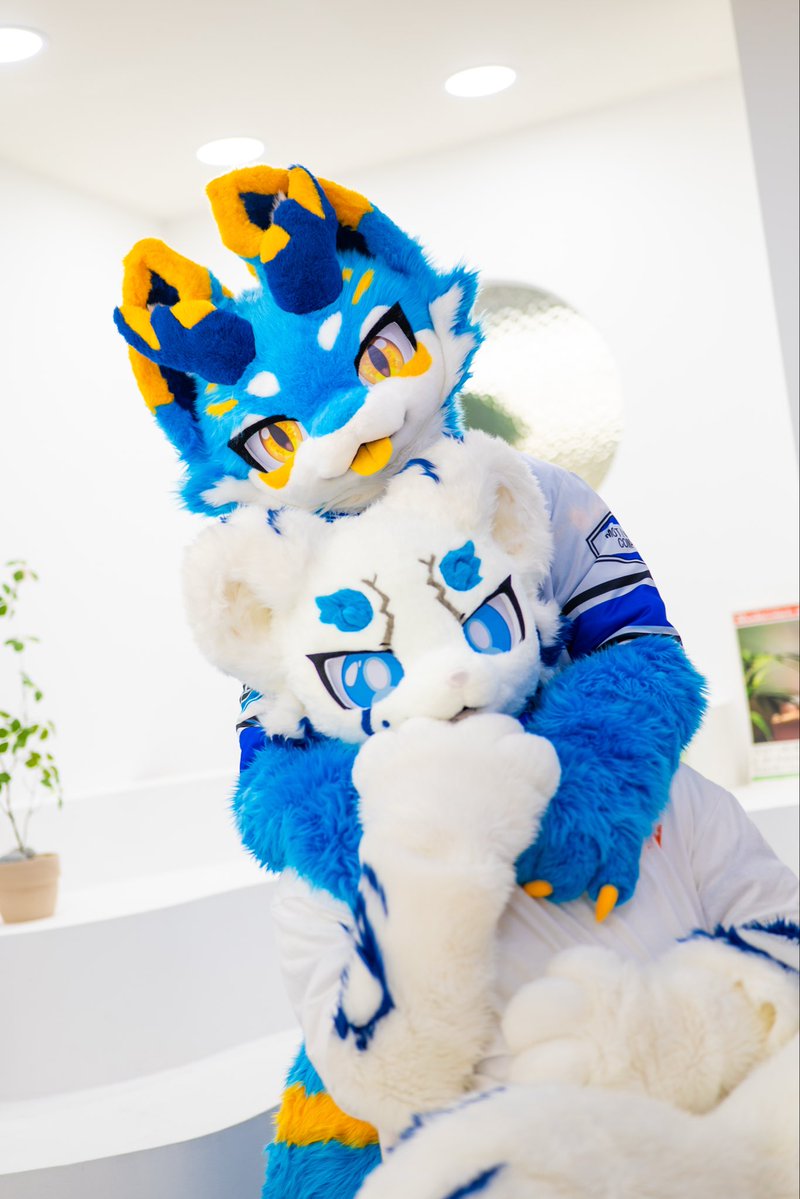 펭 PENG tweet media