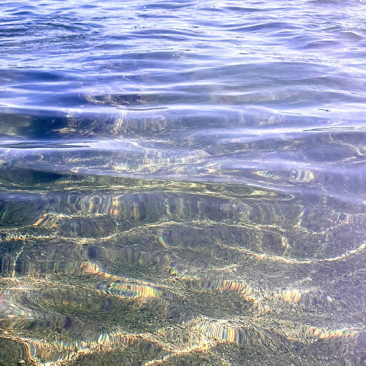 海をかくひと tweet media