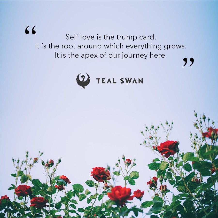 Teal Swan tweet media