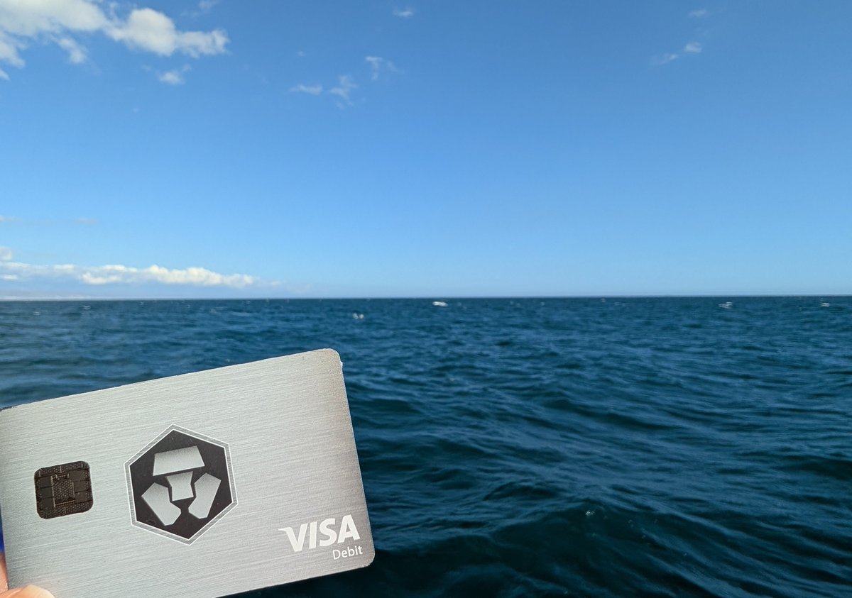 CroShouf.cro tweet media