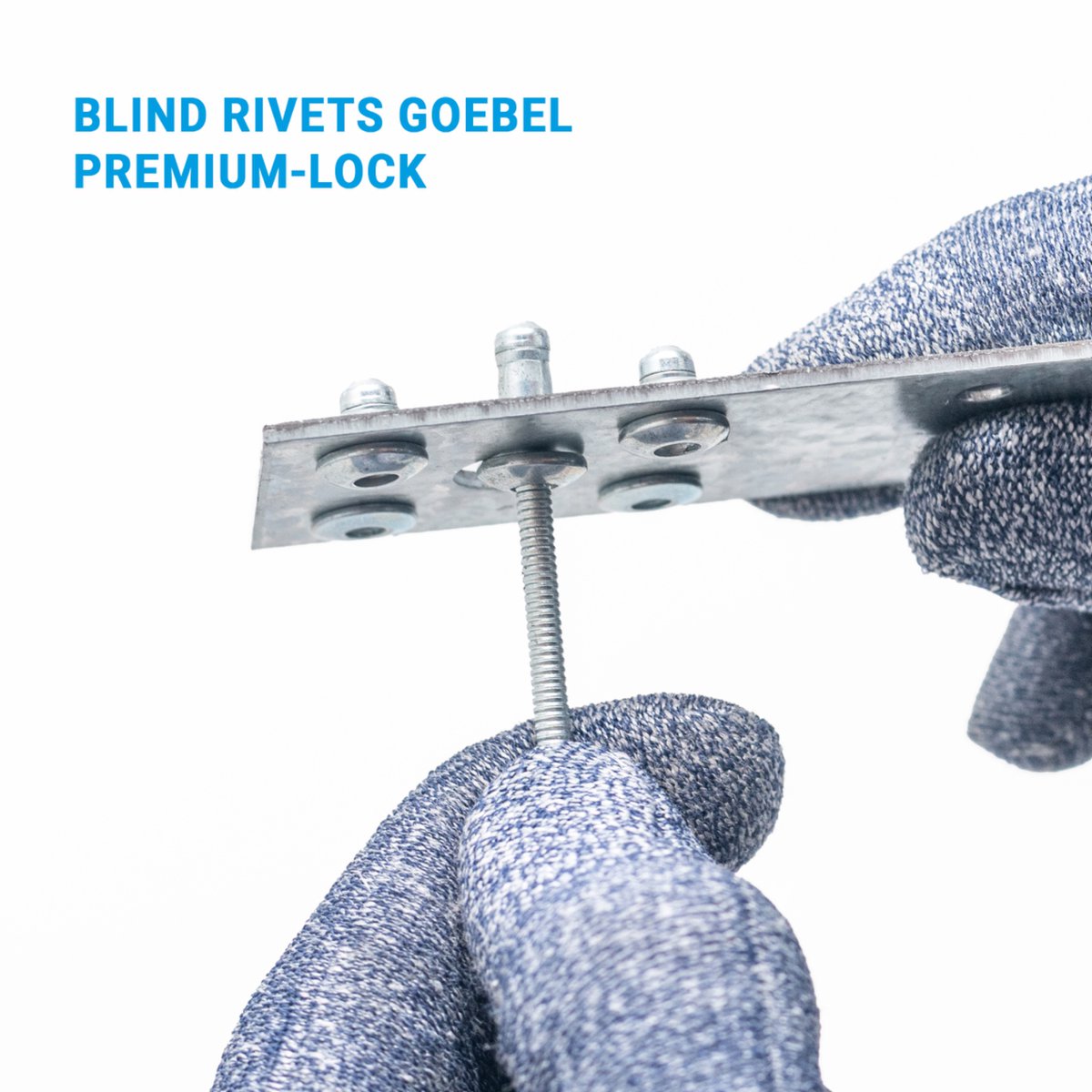 Goebel Group tweet media