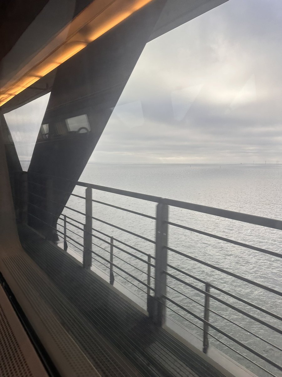 Sav 🇾🇪🏴 tweet media