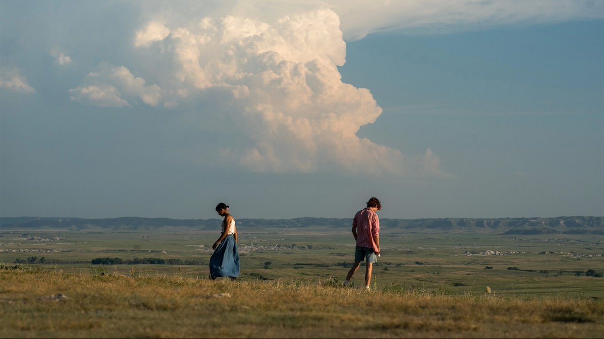 miles 🍉 tweet media