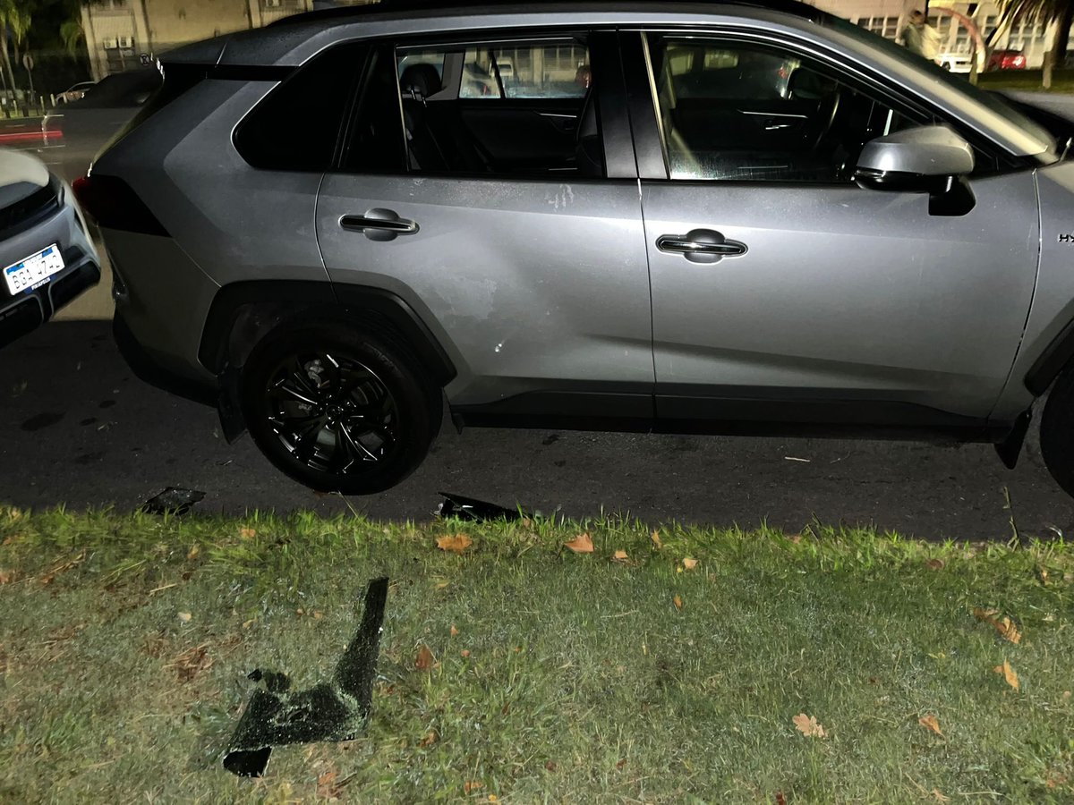 M Estela Moreno tweet media