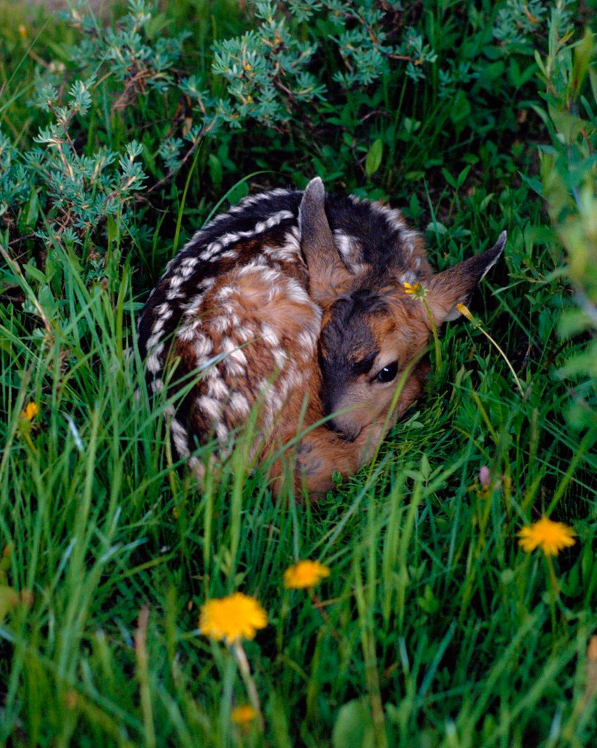 Temetrius tweet media