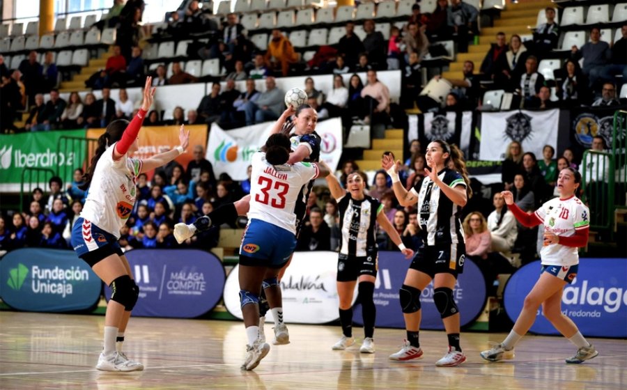 CatHANDBOL tweet media