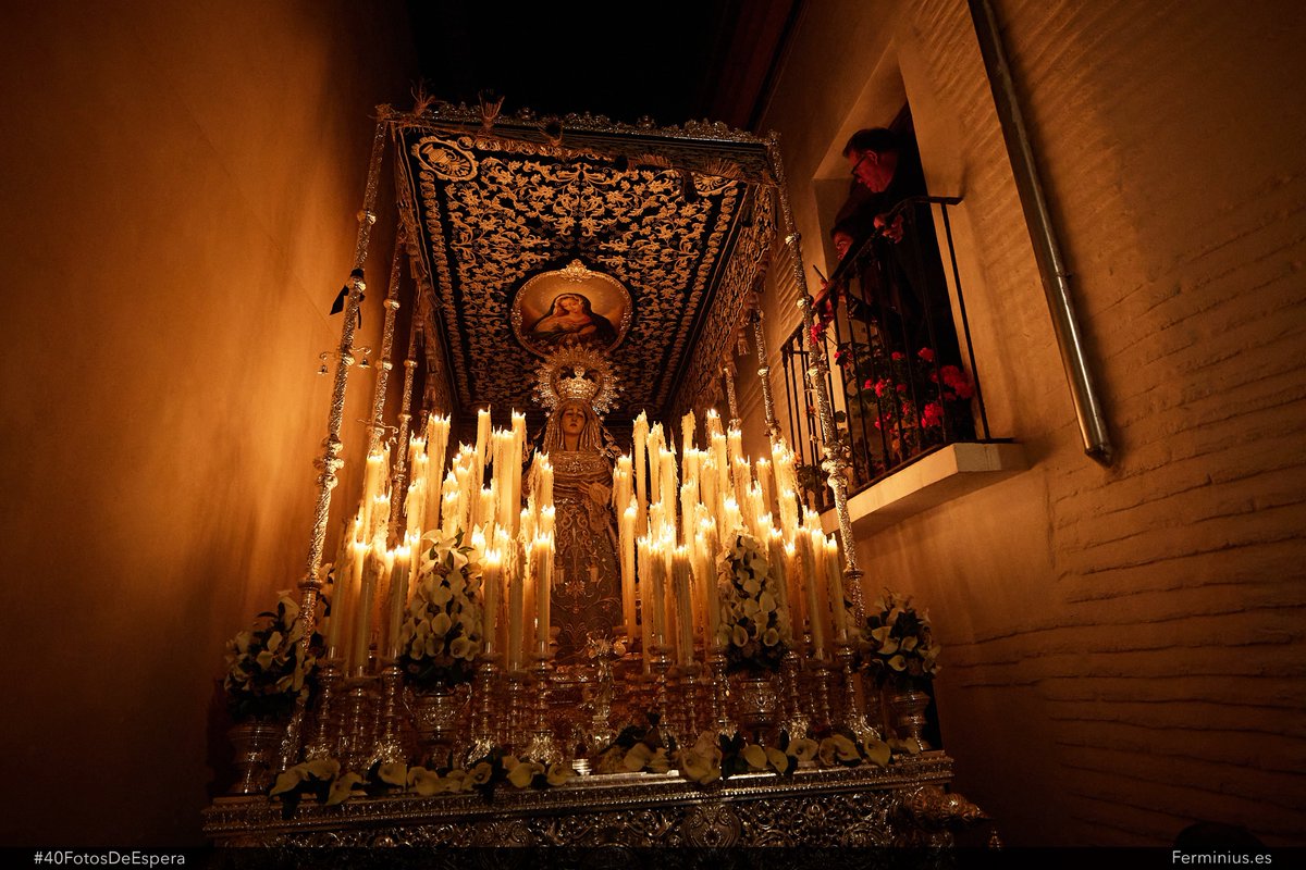 Fermín Rodríguez tweet media