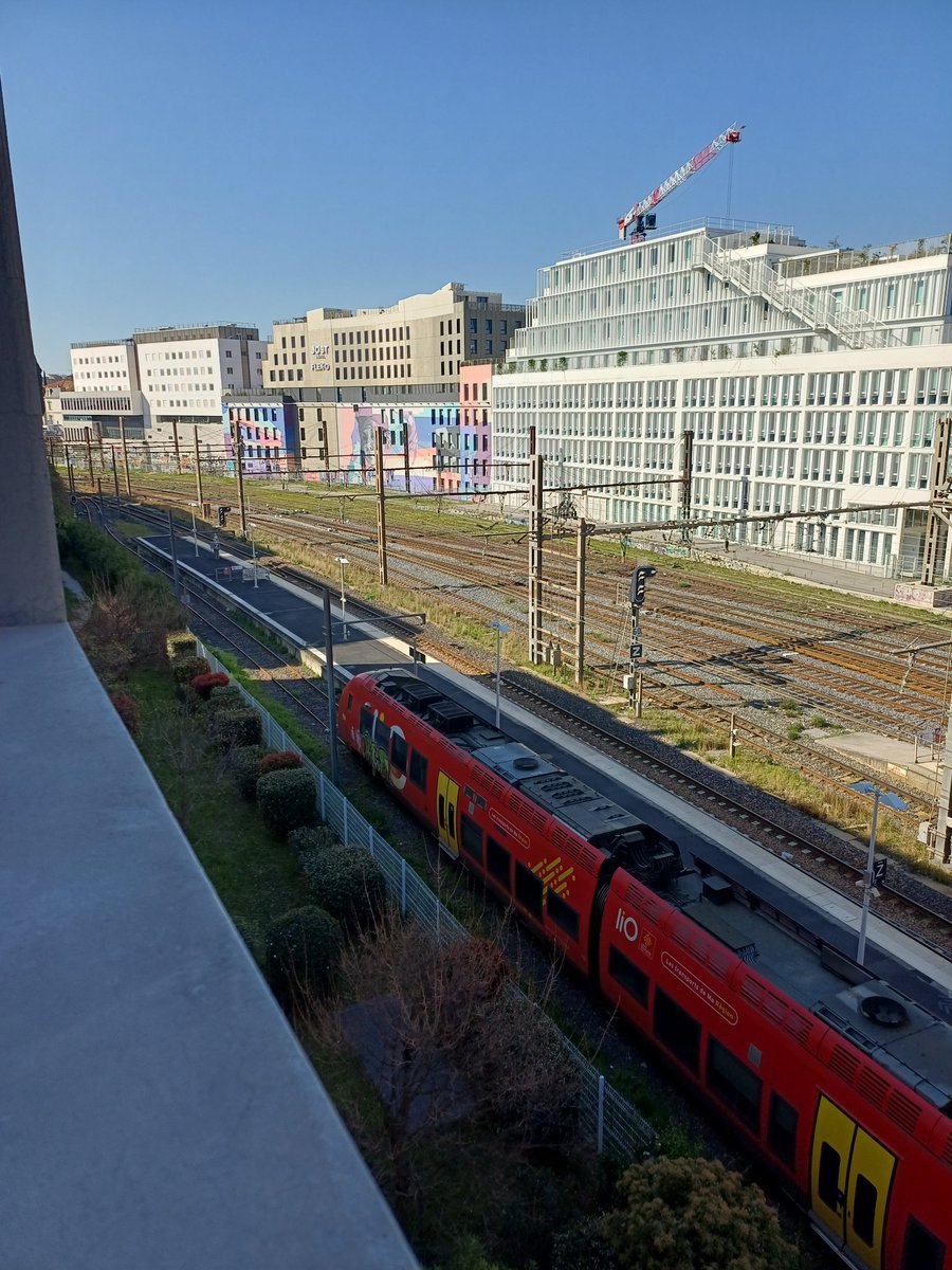 stephadc tweet media