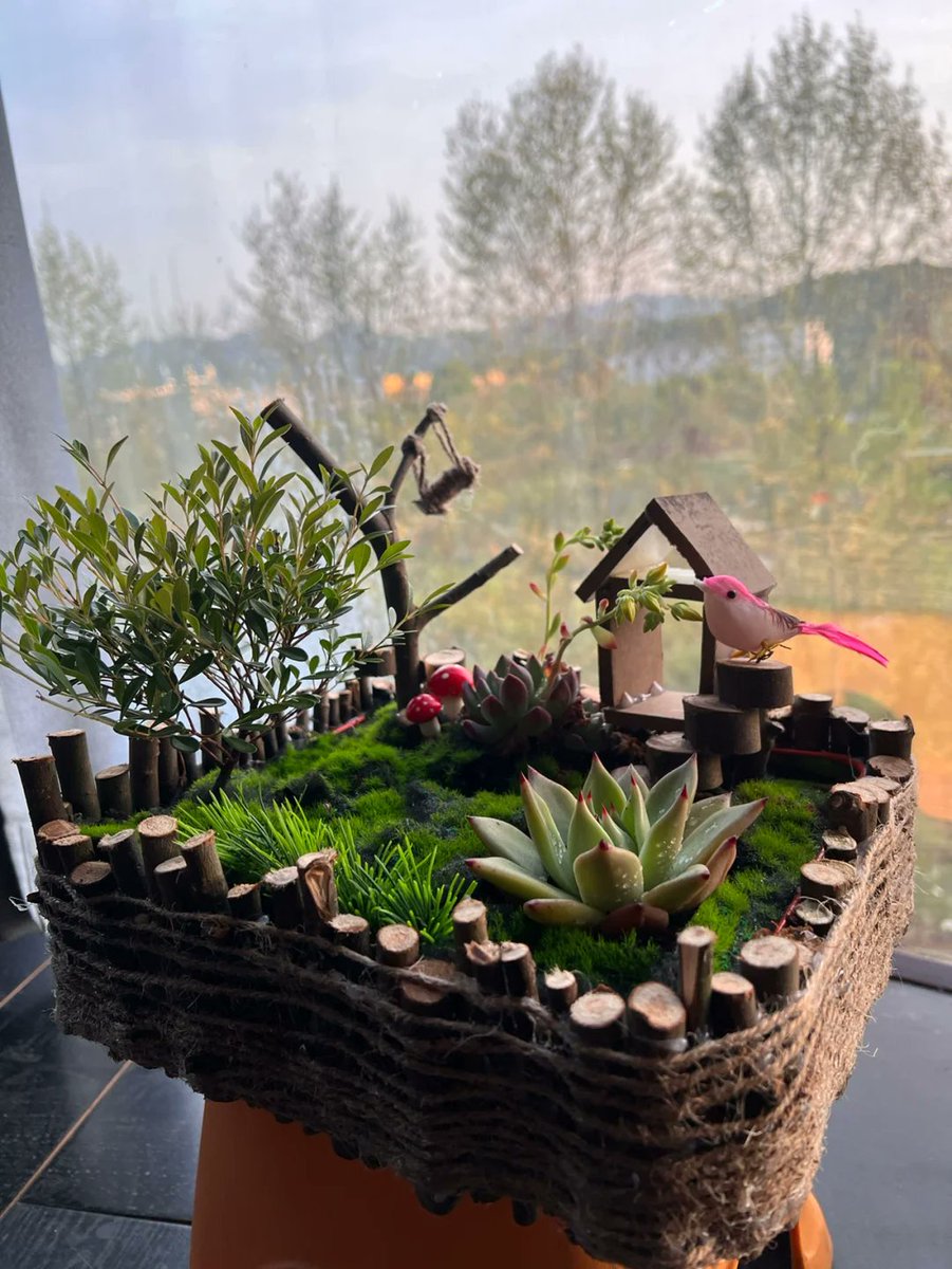 Eva Lynn tweet media