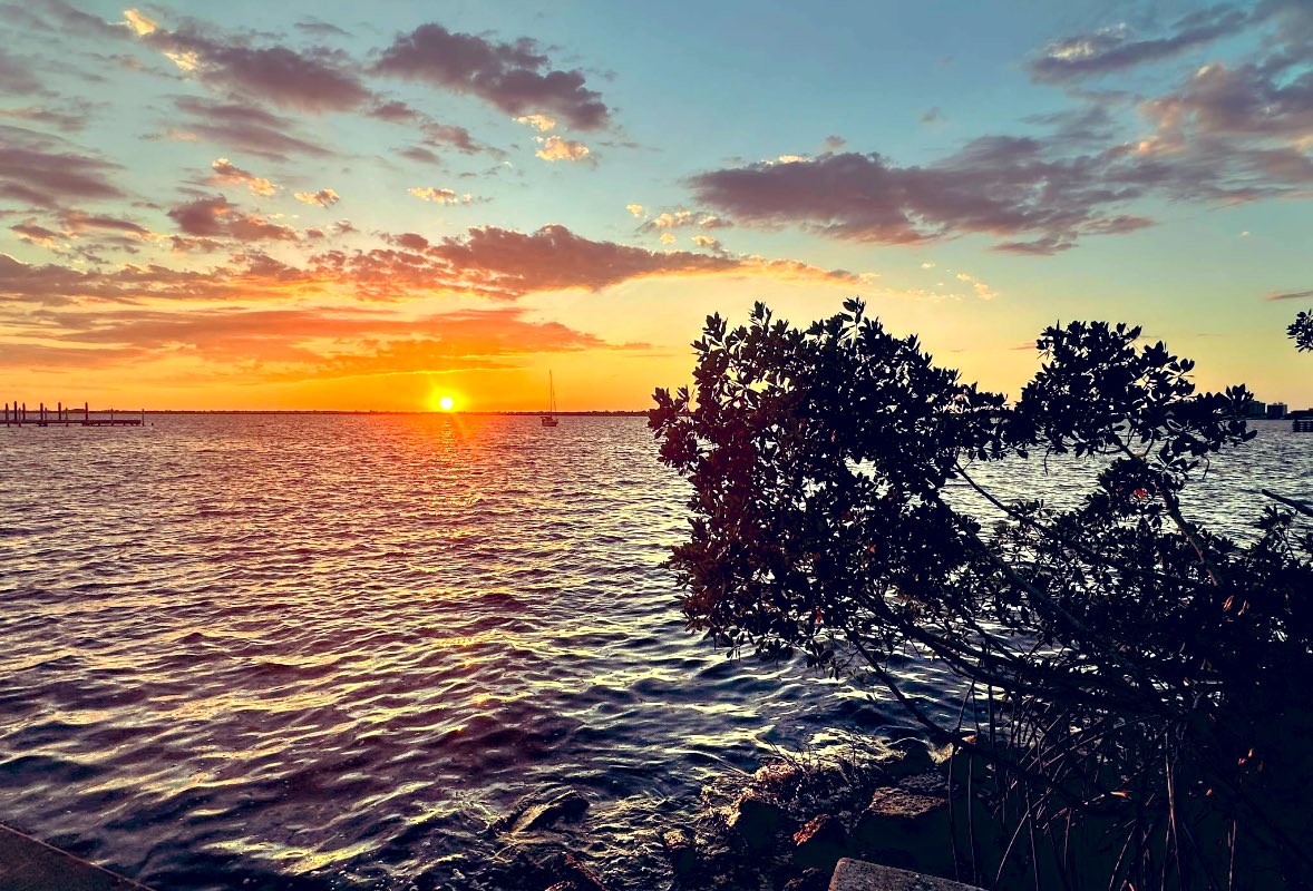 Marie 🏝️💃 tweet media