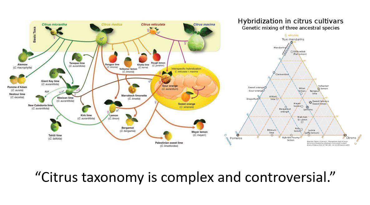 Patrick Heizer tweet media