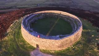 Dr. Eva Catarina Devaney tweet media