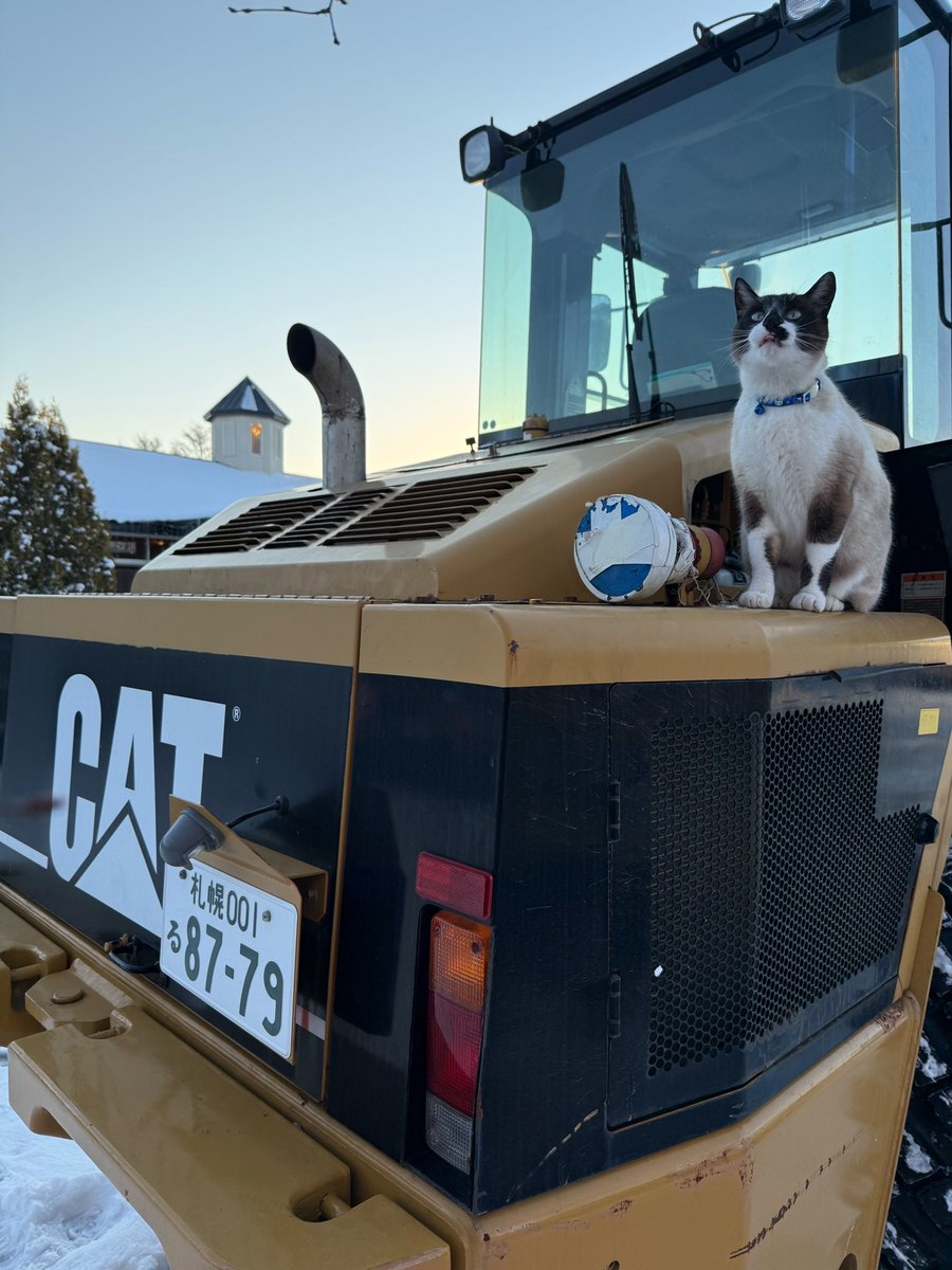 Yogiboヴェルサイユリゾートファーム tweet media