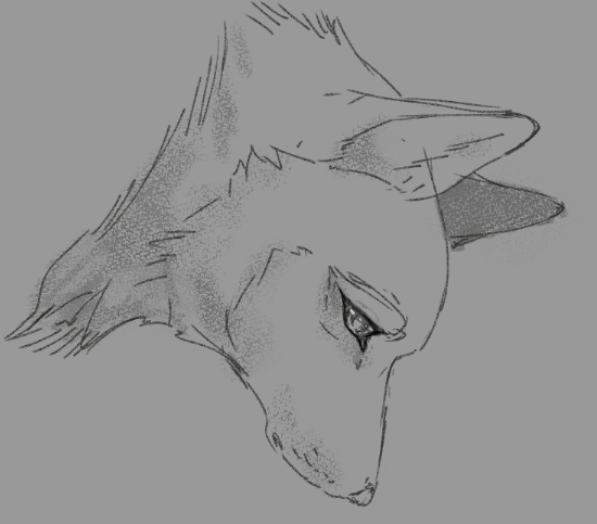 Azure ✧ VGEN COMMS tweet media