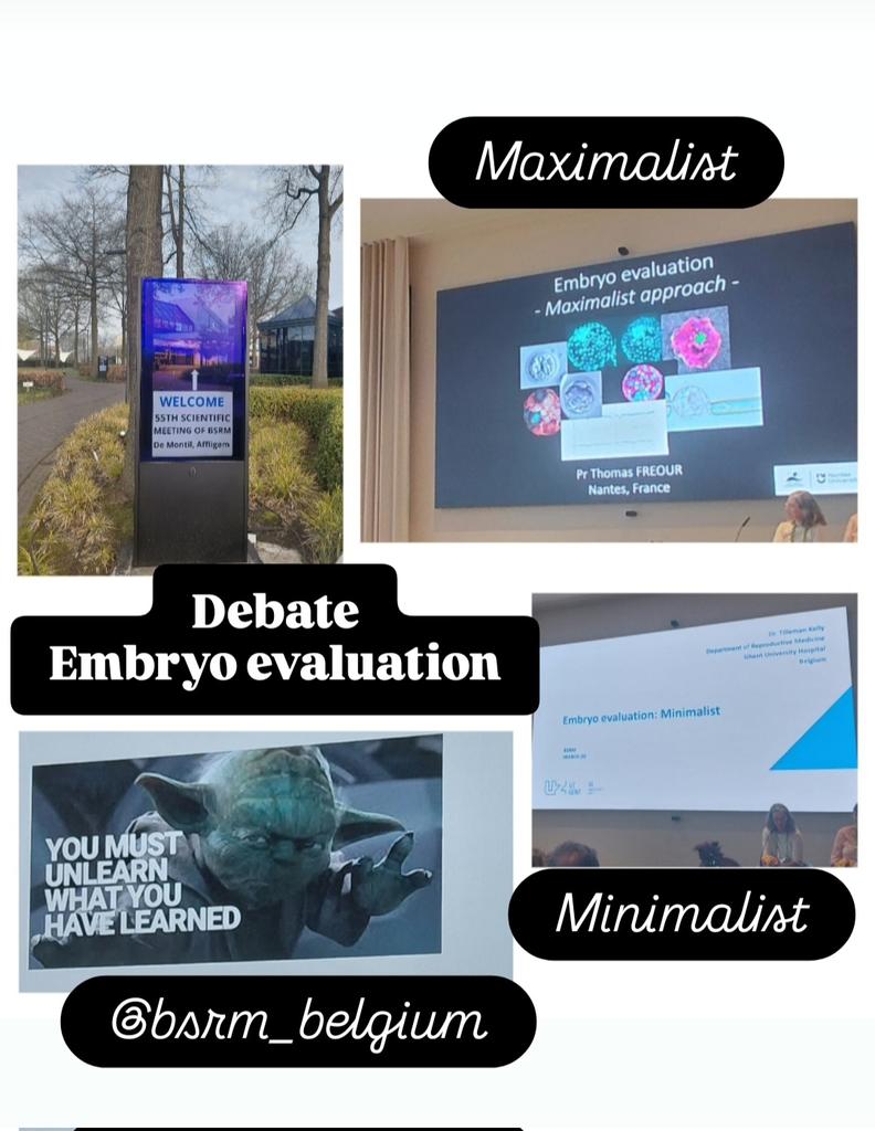 OOkutman's tweet photo. Happenning now🔥
Debate:Embryo evaluation
Maximalist versus minimalist
55th BSRM Scientific Meeting
De Montil,Affligem(Essene)
#BSRMScientificMeeting https://t.co/vmnqjz2JXa