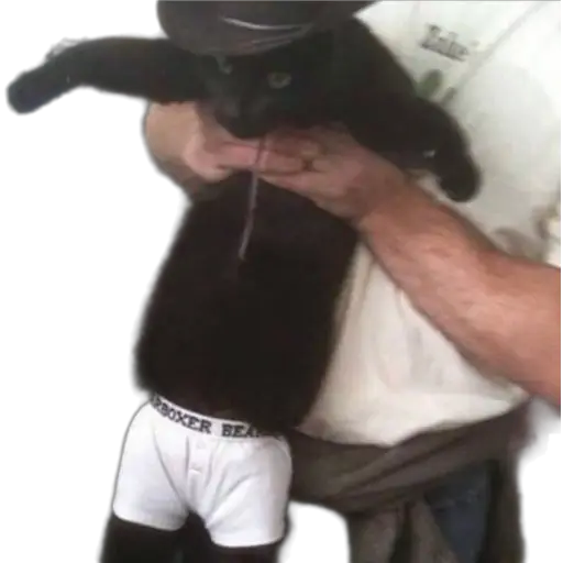 Random thing i wanted to share, this pic inspired that pic xd