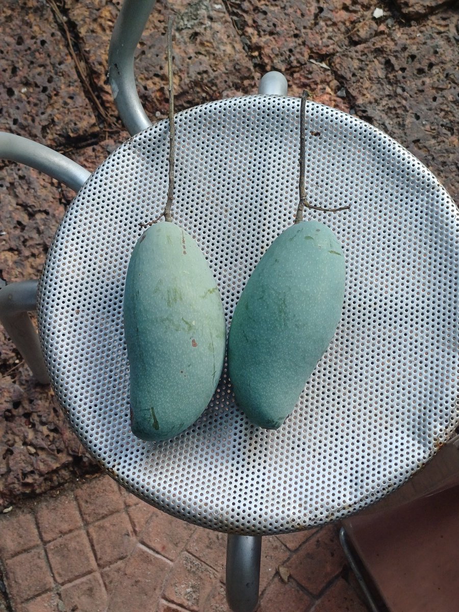 Enjoy__ww🦁 tweet media