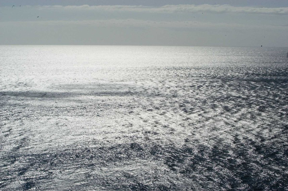 Runa K Iskandar tweet media