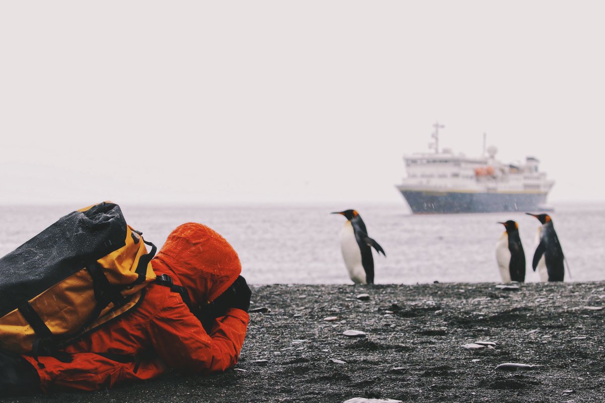 케이채 (K. CHAE) tweet media