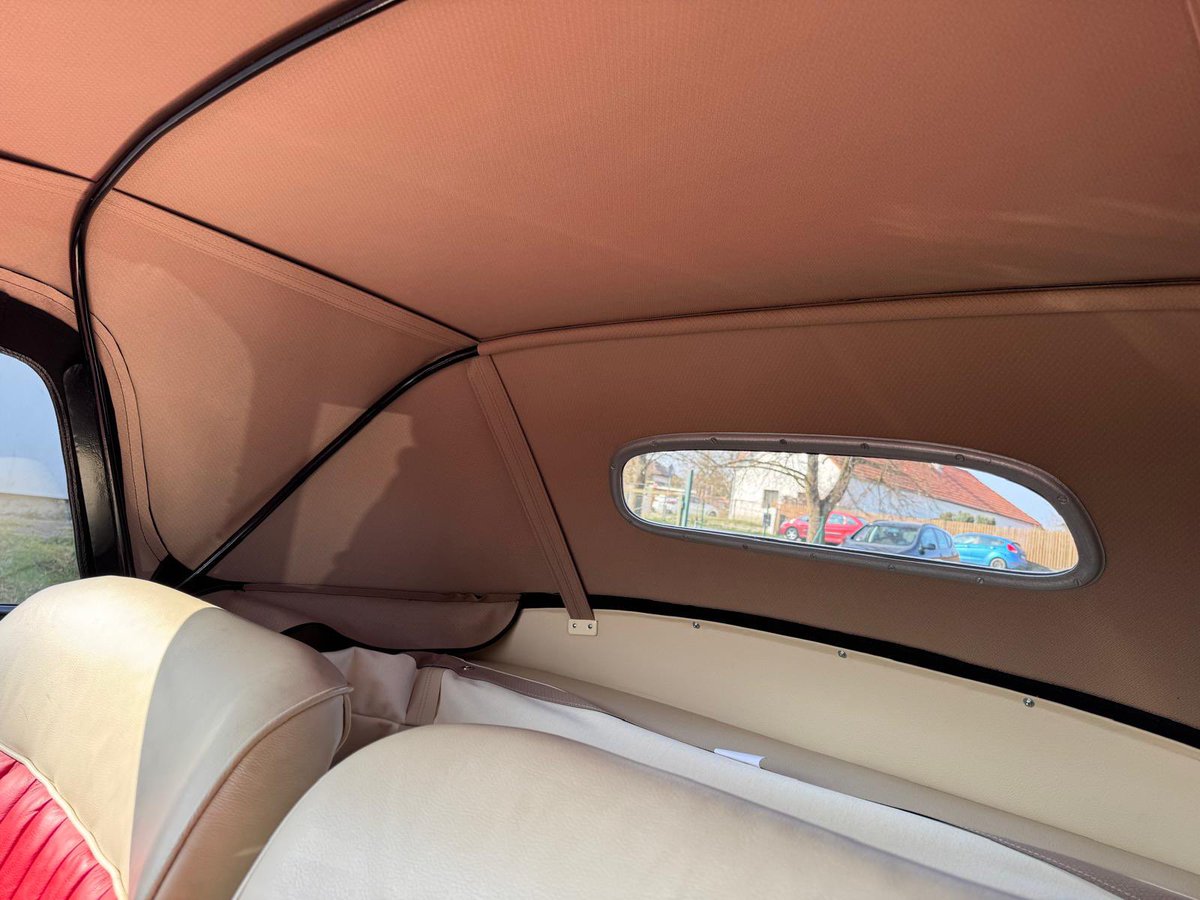 Blanka K. tweet media