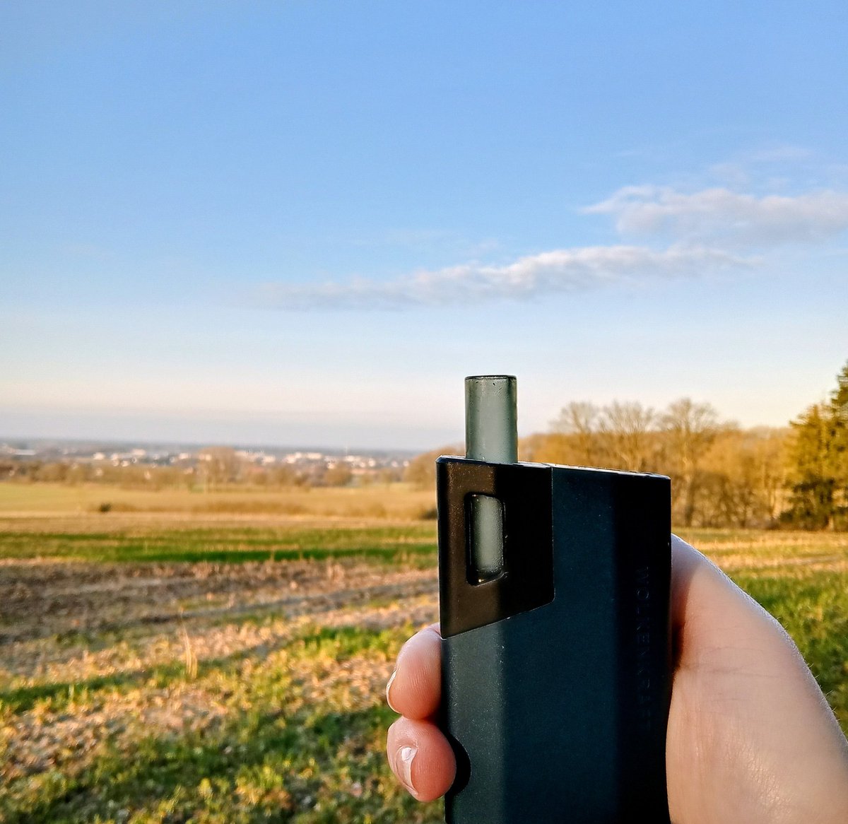 die mit den Locken ☀️ tweet media