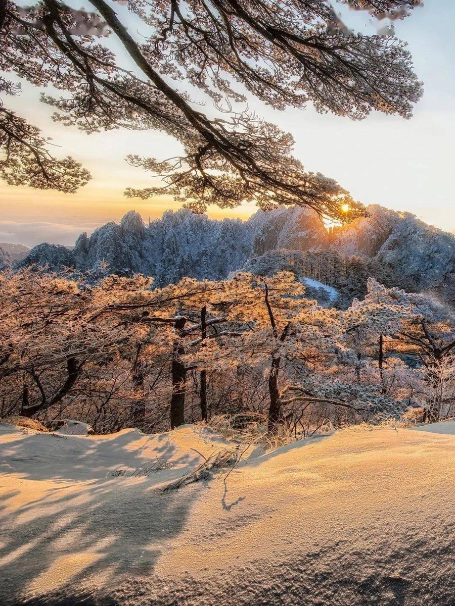 Neal Fisher tweet media