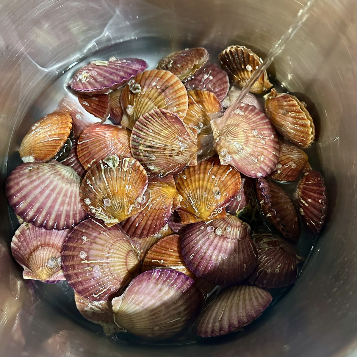 연남살롱 tweet media