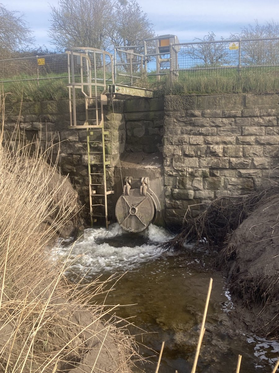 Severn Piscator tweet media